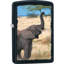 Zippo: Painted Elephant and tree<br>55-ZEle19